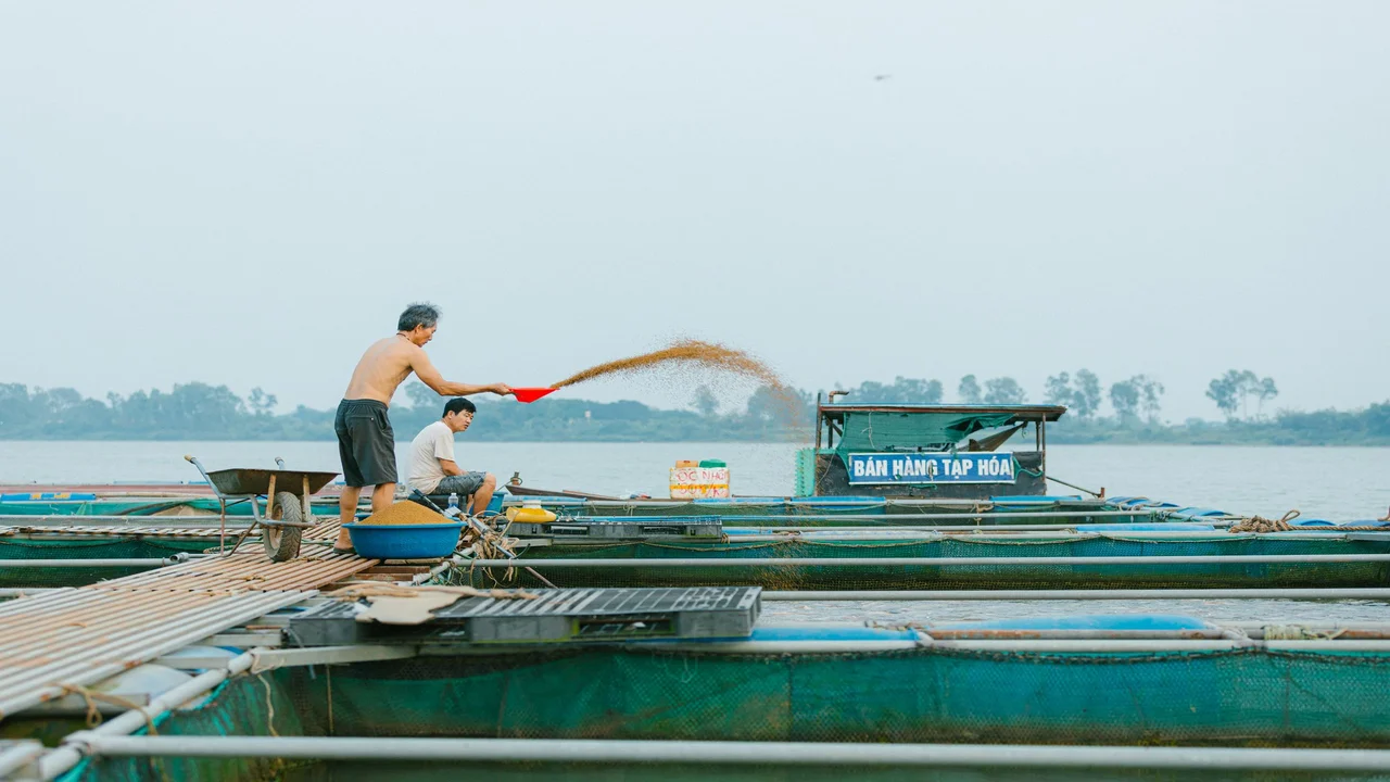 Commercial Floating Fish Feed Aquaculture Operations in Bangladesh